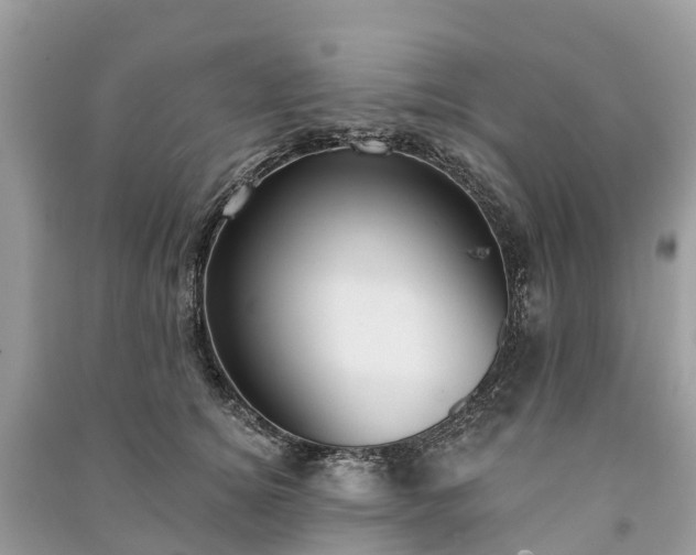 X0000091000756200708091539