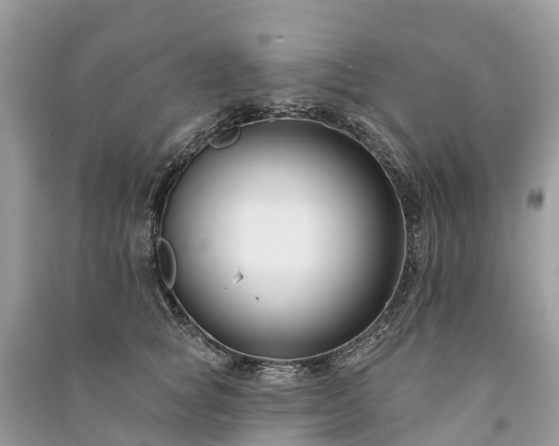 X0000091000757200708091539
