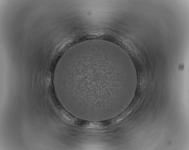 X0000091000758200708091539