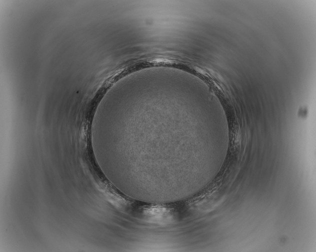 X0000091000759200708091539