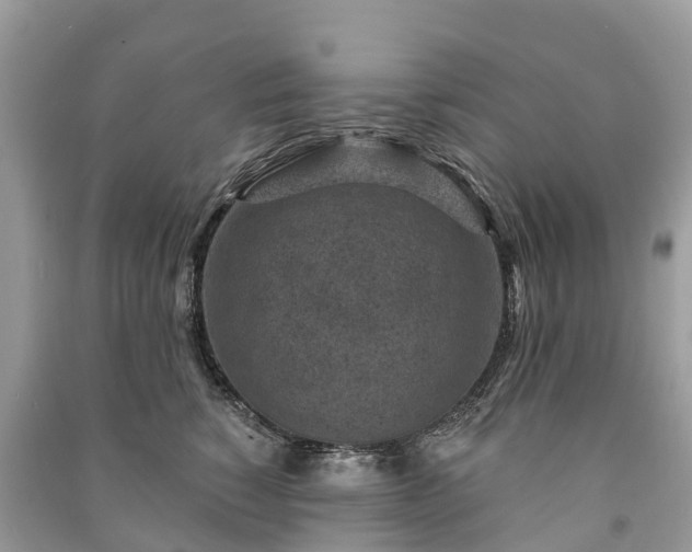 X0000091000760200708091539
