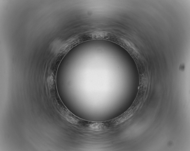 X0000091000761200708091539
