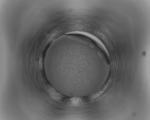 X0000091000762200708091539