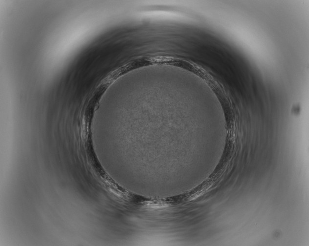 X0000091000763200708091539