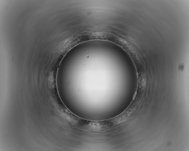 X0000091000764200708091539
