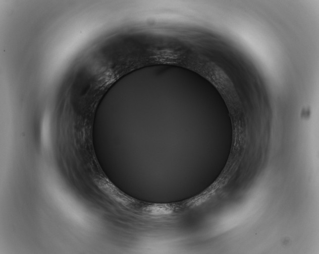 X0000091000765200708091539