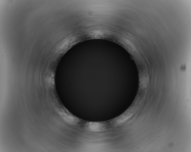 X0000091000766200708091540
