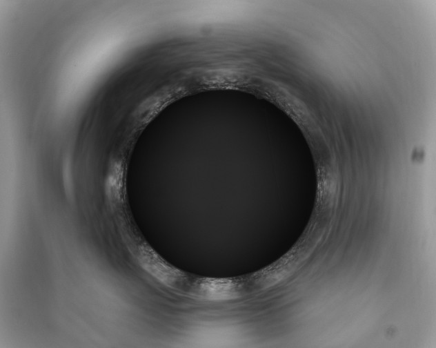 X0000091000767200708091540