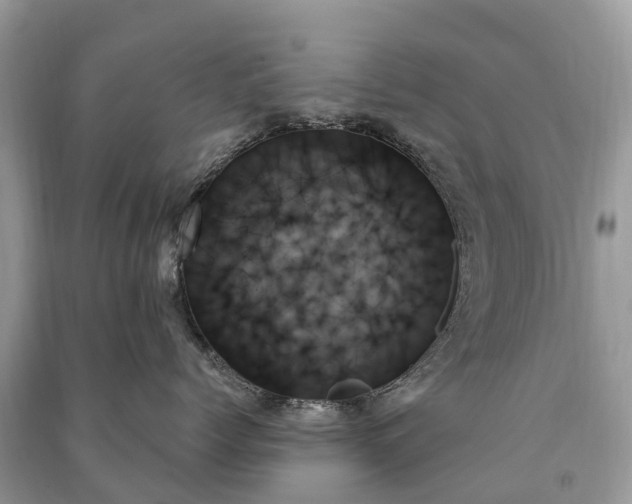 X0000091000768200708091540