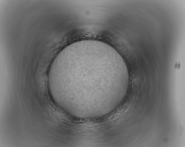 X0000091000769200708091539