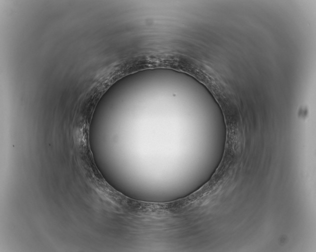 X0000091000770200708091539
