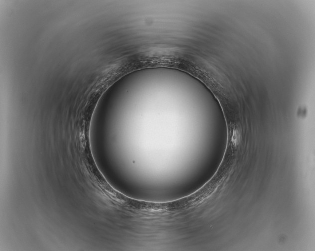 X0000091000771200708091539