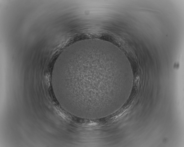 X0000091000772200708091539