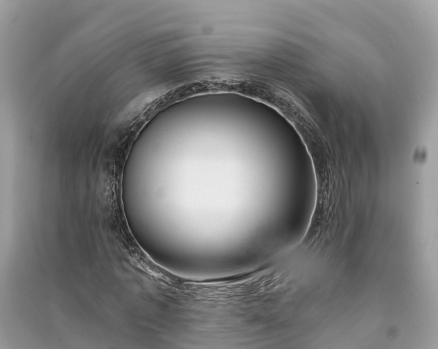 X0000091000773200708091539