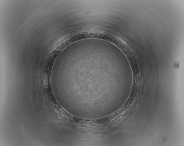 X0000091000774200708091539