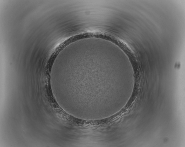 X0000091000776200708091539