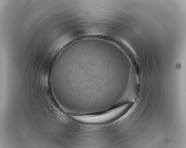 X0000091000777200708091539