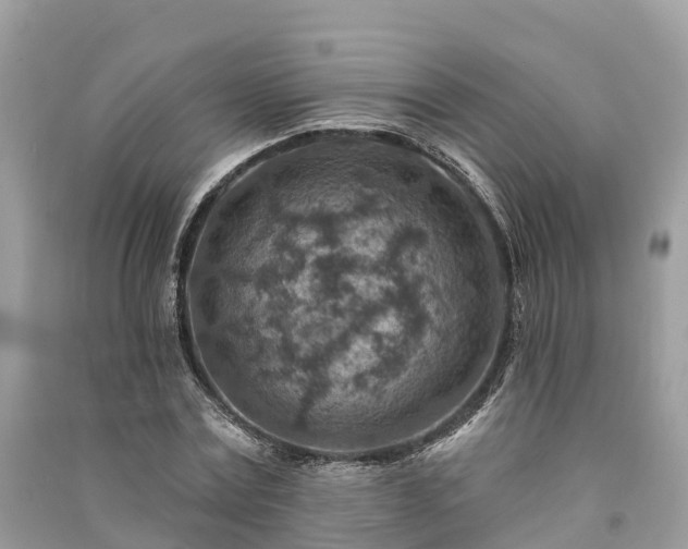 X0000091000779200708091539