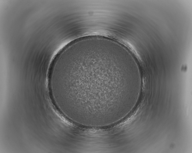 X0000091000780200708091539