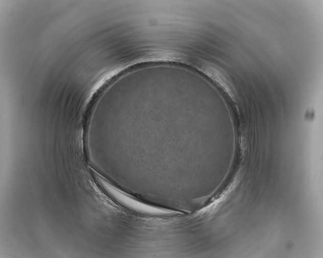 X0000091000781200708091539