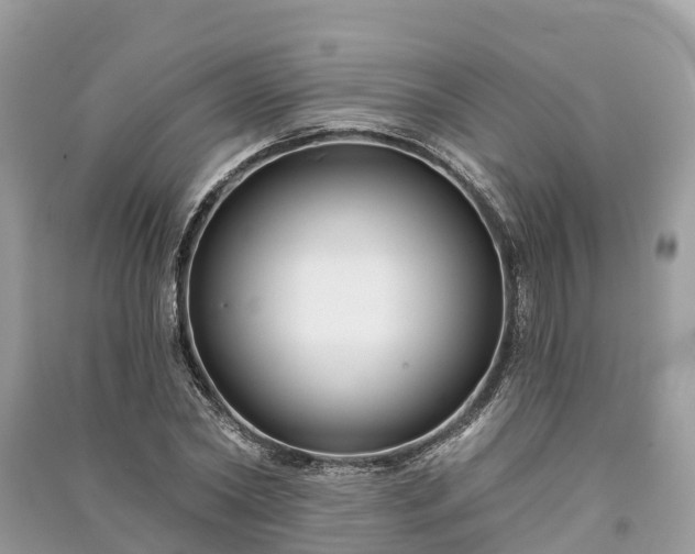 X0000091000782200708091539