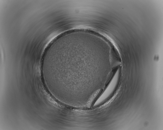 X0000091000783200708091539
