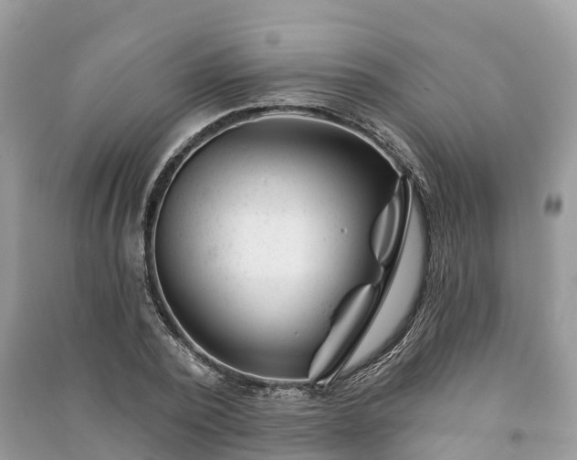 X0000091000784200708091539