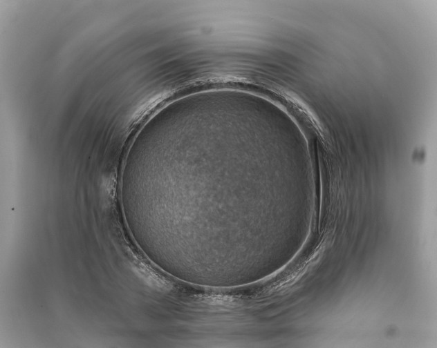 X0000091000785200708091539