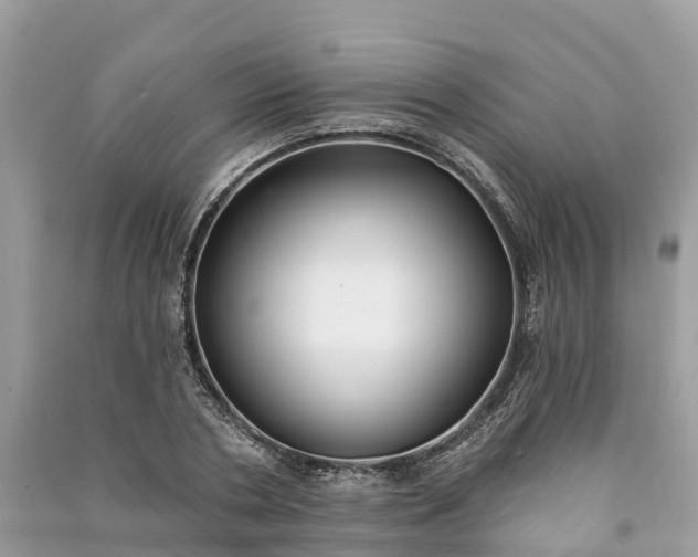 X0000091000786200708091539