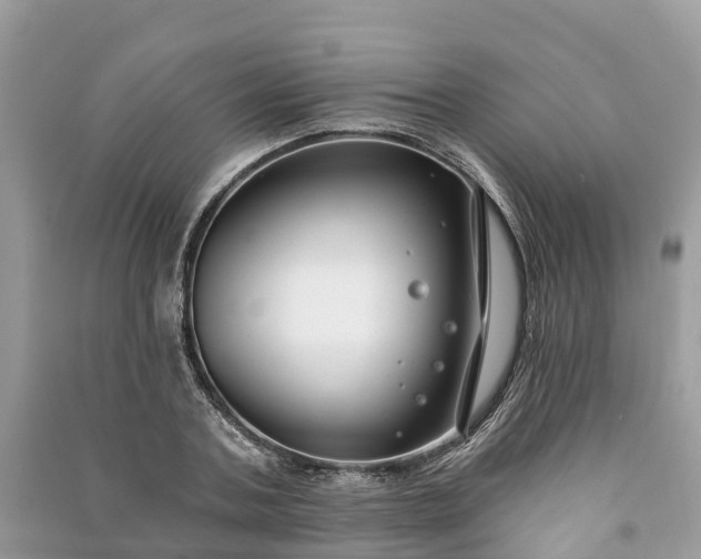 X0000091000787200708091539