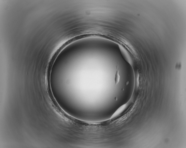X0000091000788200708091539