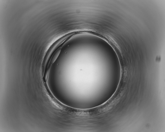 X0000091000789200708091539
