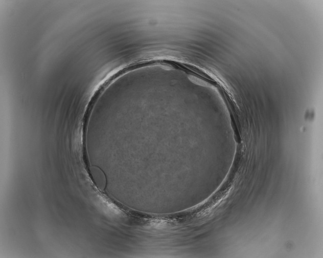 X0000091000790200708091539