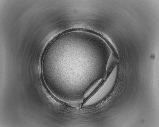 X0000091000791200708091539