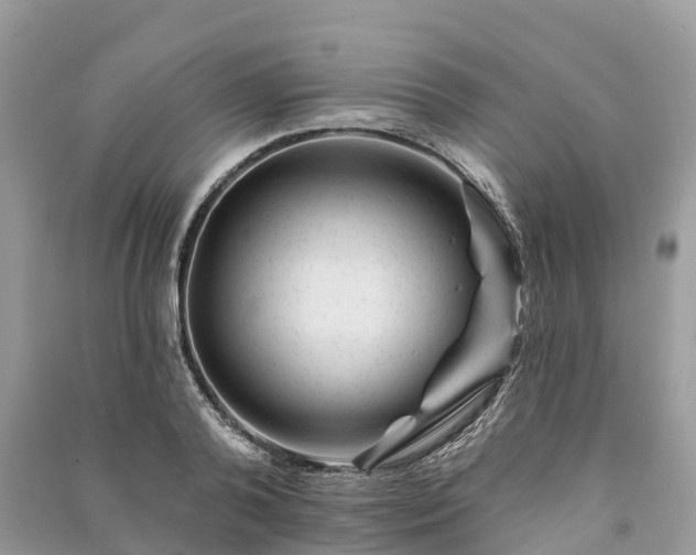 X0000091000792200708091538