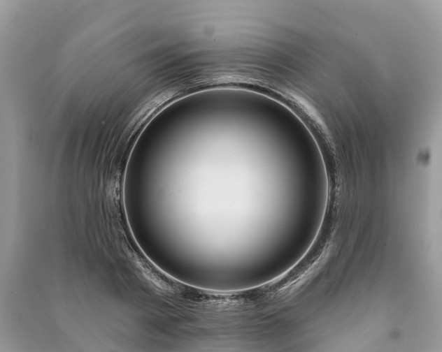 X0000091000793200708091538