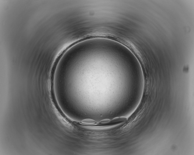 X0000091000795200708091538