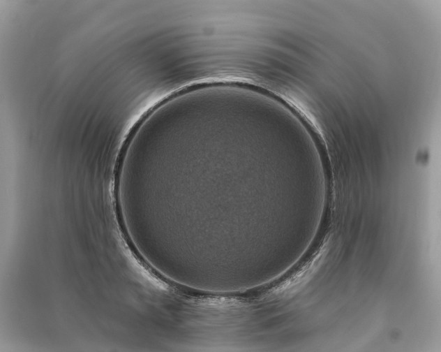 X0000091000797200708091538