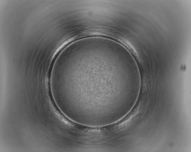 X0000091000798200708091538