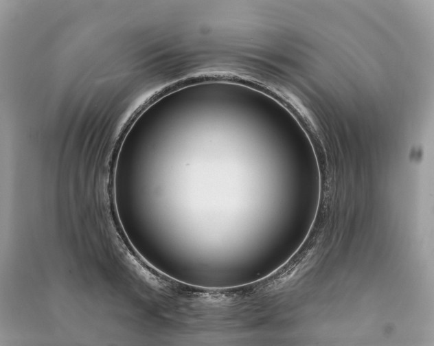 X0000091000799200708091538