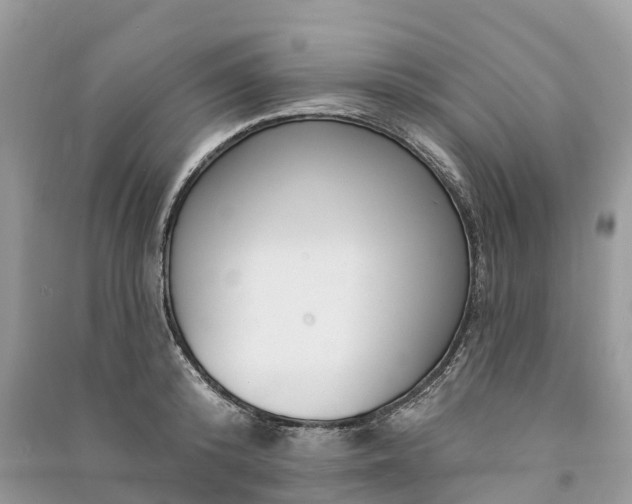 X0000091000800200708091538