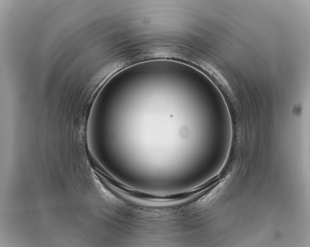 X0000091000801200708091538