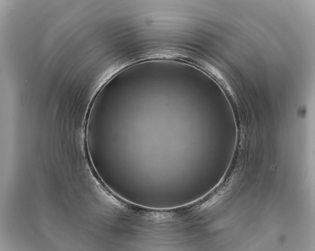 X0000091000802200708091538