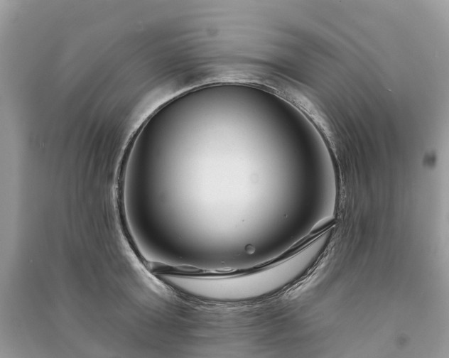 X0000091000803200708091538