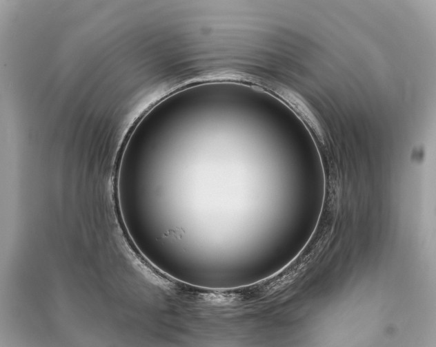 X0000091000805200708091538