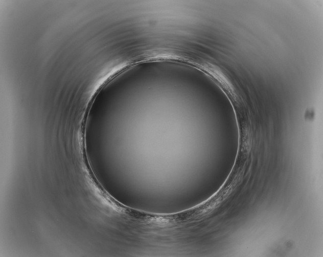 X0000091000806200708091538