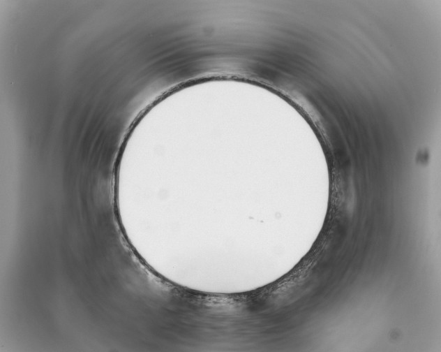 X0000091000807200708091538