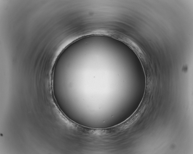 X0000091000808200708091538