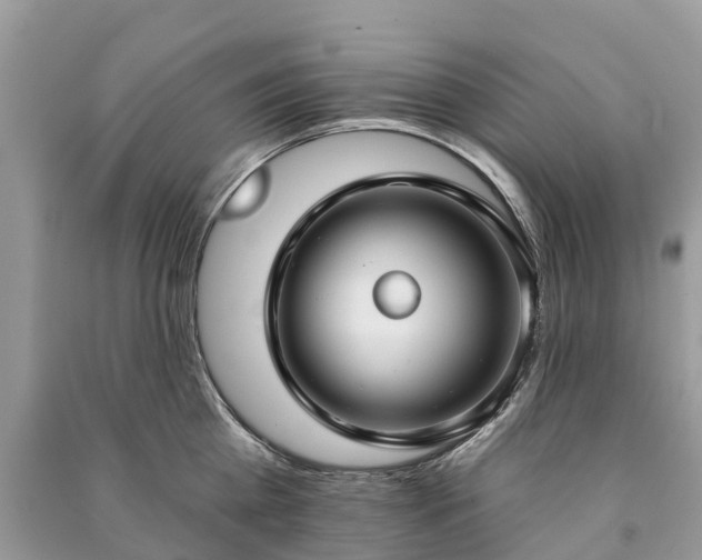 X0000091000809200708091538