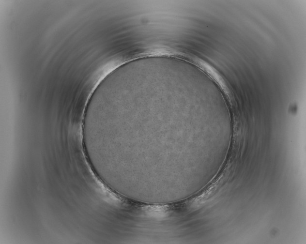 X0000091000810200708091538